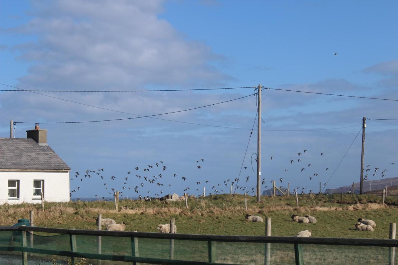 Malin Head Solastobann Arthouse Room 1 En-Suite Exterior photo